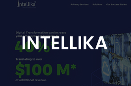 Intellika A leading microsoft gold partner